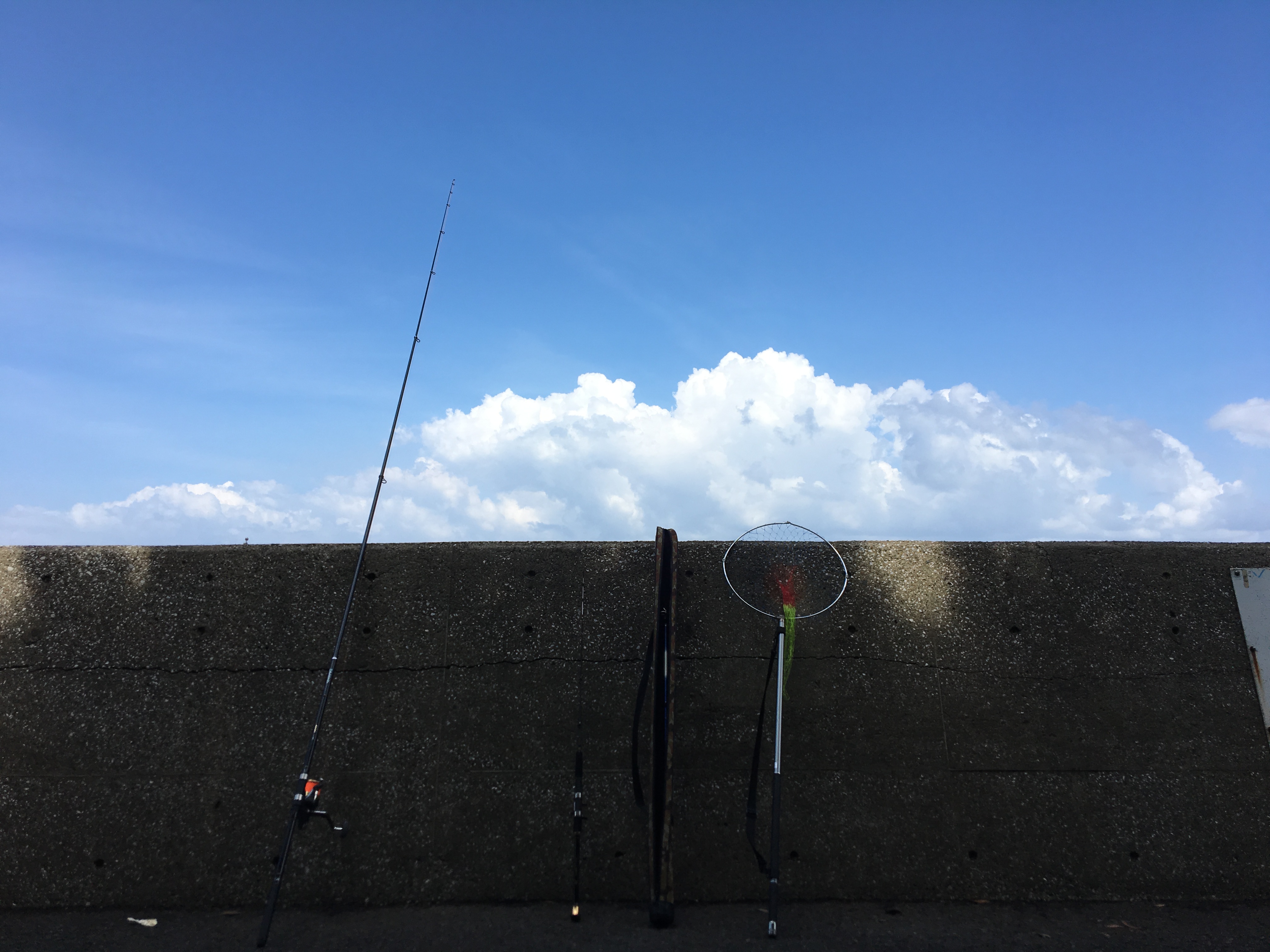 台風の後は釣れるってホント In幸浦 にくの釣りブログ