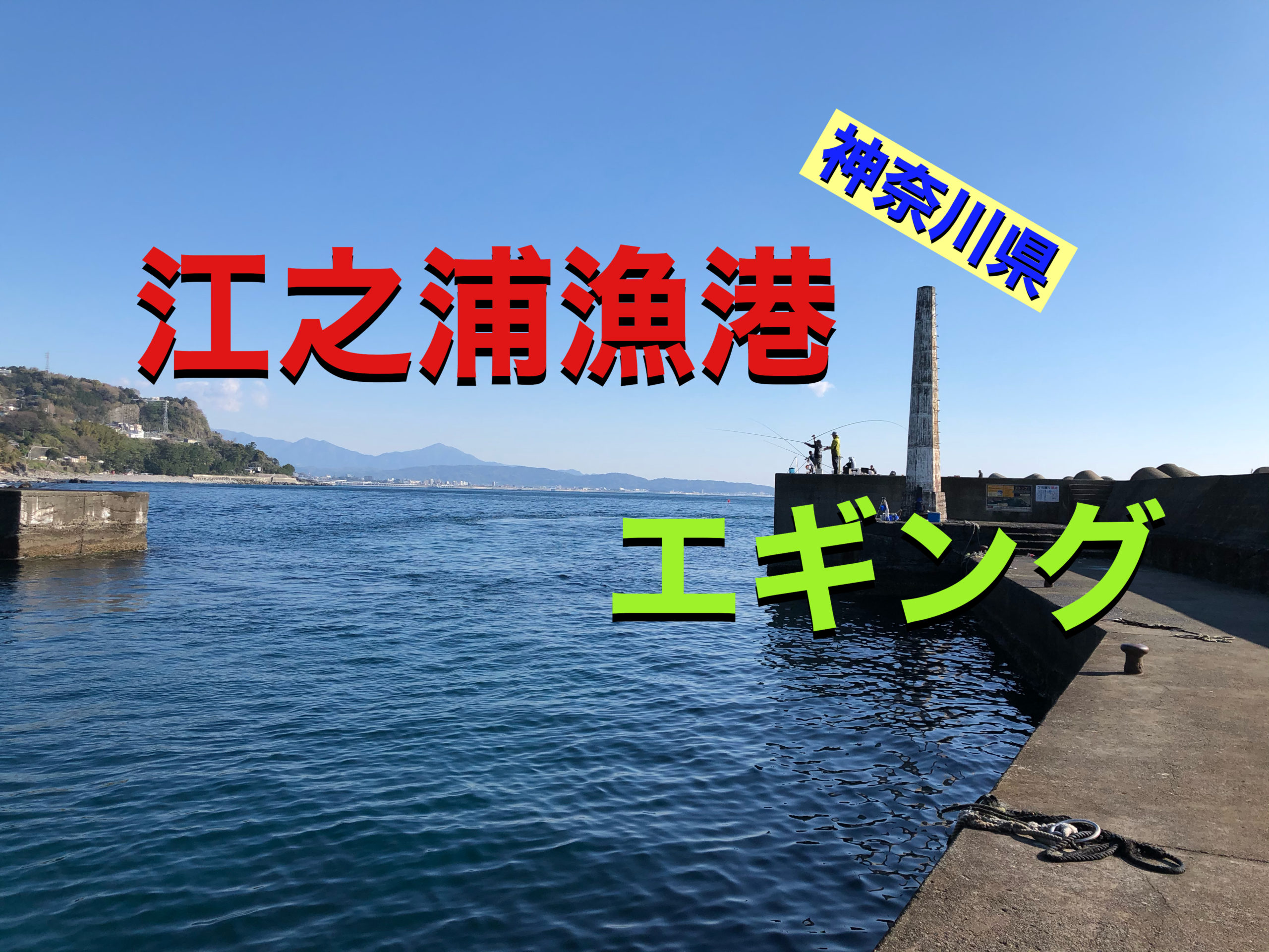 神奈川県小田原市の江之浦漁港でエギング にくの釣りブログ