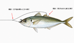 泳がせの仕掛け